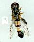  ( - gvc12091-1L)  @12 [ ] Copyright (2004) Unspecified Unspecified