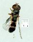  ( - gvc12714-1L)  @12 [ ] Copyright (2004) Unspecified Unspecified
