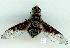  ( - gvc12745-1L)  @11 [ ] Copyright (2004) Unspecified Unspecified