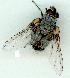  ( - gvc12923-1L)  @13 [ ] Copyright (2004) Unspecified Unspecified