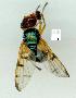  ( - gvc13464-1L)  @11 [ ] Copyright (2004) Unspecified Unspecified