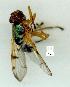  ( - gvc13465-1L)  @11 [ ] Copyright (2004) Unspecified Unspecified