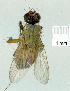  ( - gvc13771-1L)  @12 [ ] Copyright (2004) Unspecified Unspecified