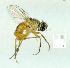  ( - gvc13779-1L)  @13 [ ] Copyright (2004) Unspecified Unspecified