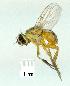  ( - gvc13782-1L)  @12 [ ] Copyright (2004) Unspecified Unspecified