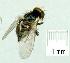  ( - gvc13787-1L)  @12 [ ] Copyright (2004) Unspecified Unspecified