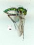  ( - gvc13991-1L)  @13 [ ] Copyright (2004) Unspecified Unspecified