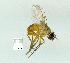  ( - gvc14078-1L)  @13 [ ] Copyright (2004) Unspecified Unspecified
