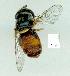  ( - gvc14128-1L)  @12 [ ] Copyright (2004) Unspecified Unspecified