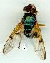  ( - gvc14498-1L)  @13 [ ] Copyright (2004) Unspecified Unspecified