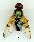  ( - gvc14499-1L)  @13 [ ] Copyright (2004) Unspecified Unspecified