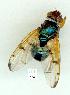  ( - gvc14500-1L)  @13 [ ] Copyright (2004) Unspecified Unspecified