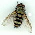  ( - gvc9440-1L)  @13 [ ] Copyright (2004) Unspecified Unspecified