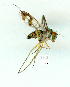  ( - gvc9506-1L)  @12 [ ] Copyright (2004) Unspecified Unspecified