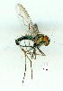  ( - gvc9522-1L)  @12 [ ] Copyright (2004) Unspecified Unspecified