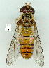  ( - gvc9539-1L)  @13 [ ] Copyright (2004) Unspecified Unspecified