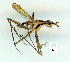  ( - gvc9544-1L)  @13 [ ] Copyright (2004) Unspecified Unspecified