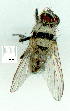  ( - gvc9590-1L)  @13 [ ] Copyright (2004) Unspecified Unspecified