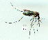  ( - gvc9673-1L)  @11 [ ] Copyright (2004) Unspecified Unspecified