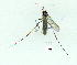  ( - gvc9675-1L)  @12 [ ] Copyright (2004) Unspecified Unspecified