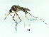  ( - gvc9678-1L)  @11 [ ] Copyright (2004) Unspecified Unspecified