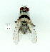  ( - gvc9684-1L)  @13 [ ] Copyright (2004) Unspecified Unspecified