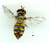  ( - gvc9691-1L)  @13 [ ] Copyright (2004) Unspecified Unspecified