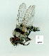  ( - gvc9697-1L)  @12 [ ] Copyright (2004) Unspecified Unspecified