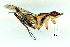  ( - gvc9798-1L)  @13 [ ] Copyright (2004) Unspecified Unspecified