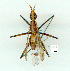  ( - gvc9830-1L)  @13 [ ] Copyright (2004) Unspecified Unspecified