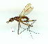  ( - gvc9833-1L)  @13 [ ] Copyright (2004) Unspecified Unspecified