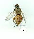  ( - gvc9834-1L)  @13 [ ] Copyright (2004) Unspecified Unspecified