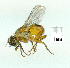  ( - gvc9878-1L)  @12 [ ] Copyright (2004) Unspecified Unspecified