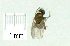  ( - gvc17300-1L)  @12 [ ] CreativeCommons - Attribution Non-Commercial (2011) Graeme V. Cocks Unspecified