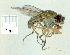  ( - gvc18175-1L)  @12 [ ] CreativeCommons - Attribution Non-Commercial (2012) Graeme V. Cocks Unspecified