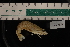  ( - LACM:DISCO:3324)  @11 [ ] CreativeCommons  Attribution (by) (2018) Natural History Museum of Los Angeles County Natural History Museum of Los Angeles County