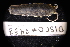  ( - LACM:DISCO:3433)  @11 [ ] CreativeCommons  Attribution (by) (2018) Natural History Museum of Los Angeles County Natural History Museum of Los Angeles County