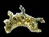  ( - LACM:DISCO:3465)  @11 [ ] CreativeCommons  Attribution (by) (2018) Natural History Museum of Los Angeles County Natural History Museum of Los Angeles County