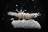  ( - LACM:DISCO:3568)  @11 [ ] CreativeCommons  Attribution (by) (2018) Natural History Museum of Los Angeles County Natural History Museum of Los Angeles County