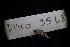  ( - LACM:DISCO:3568)  @11 [ ] CreativeCommons  Attribution (by) (2018) Natural History Museum of Los Angeles County Natural History Museum of Los Angeles County