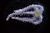  ( - LACM:DISCO:3638)  @11 [ ] CreativeCommons  Attribution (by) (2018) Natural History Museum of Los Angeles County Natural History Museum of Los Angeles County