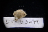  ( - LACM:DISCO:3679)  @11 [ ] CreativeCommons  Attribution (by) (2018) Natural History Museum of Los Angeles County Natural History Museum of Los Angeles County