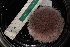  ( - LACM:DISCO:3906)  @11 [ ] CreativeCommons  Attribution (by) (2018) Natural History Museum of Los Angeles County Natural History Museum of Los Angeles County