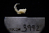  ( - LACM:DISCO:3992)  @11 [ ] CreativeCommons  Attribution (by) (2018) Natural History Museum of Los Angeles County Natural History Museum of Los Angeles County