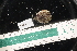  ( - LACM:DISCO:4013)  @11 [ ] CreativeCommons  Attribution (by) (2018) Natural History Museum of Los Angeles County Natural History Museum of Los Angeles County