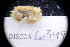  ( - LACM:DISCO:6349)  @11 [ ] CreativeCommons  Attribution (by) (2018) Natural History Museum of Los Angeles County Natural History Museum of Los Angeles County