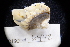  ( - LACM:DISCO:6442)  @11 [ ] CreativeCommons  Attribution (by) (2018) Natural History Museum of Los Angeles County Natural History Museum of Los Angeles County