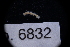  ( - LACM:DISCO:6832)  @11 [ ] CreativeCommons  Attribution (by) (2018) Natural History Museum of Los Angeles County Natural History Museum of Los Angeles County