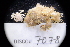  ( - LACM:DISCO:7078)  @11 [ ] CreativeCommons  Attribution (by) (2018) Natural History Museum of Los Angeles County Natural History Museum of Los Angeles County