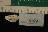  ( - LACM:DISCO:4044)  @11 [ ] CreativeCommons  Attribution (by) (2018) Natural History Museum of Los Angeles County Natural History Museum of Los Angeles County